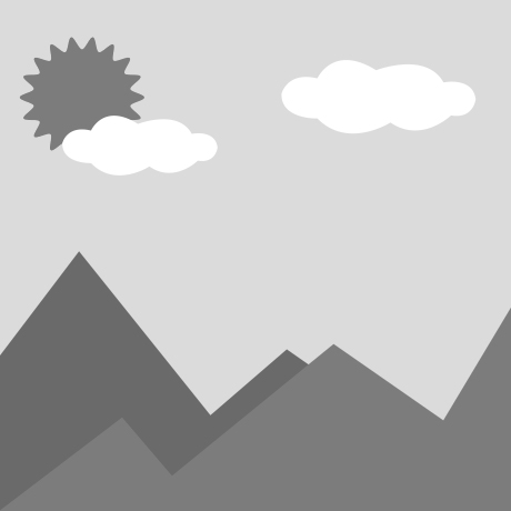 Under the FIO terms, who is responsible for these charges?